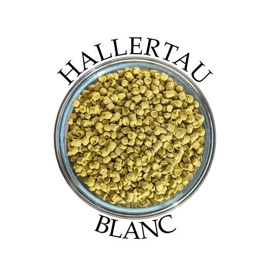 Hb Hallertau Blc Allemand 1 oz