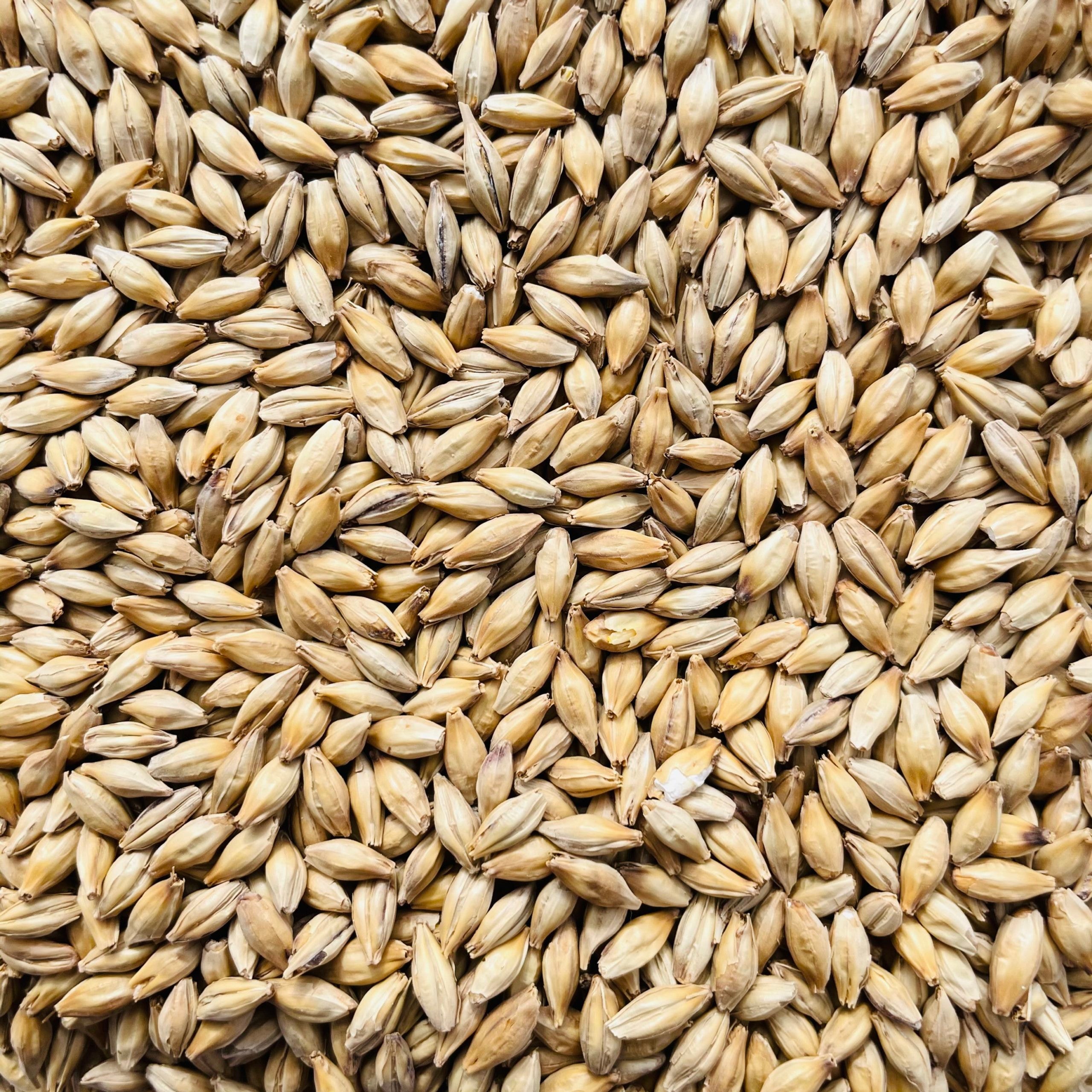 Malt 2 Rang 5 kg