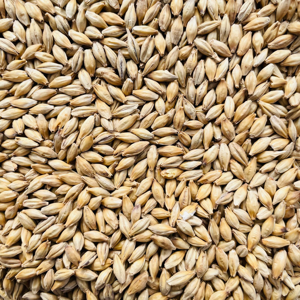 Malt 2 Rang 5 kg
