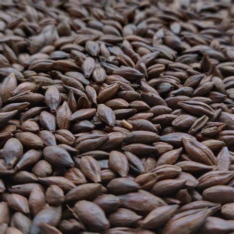 Malt Chocolat 1 kg