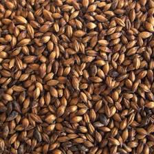 Malt Special B 25 kg