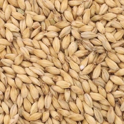 Malt Pilsner 25 kg